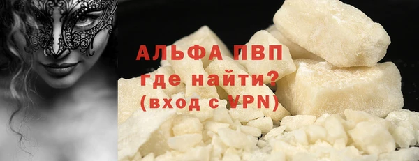 a pvp Новозыбков