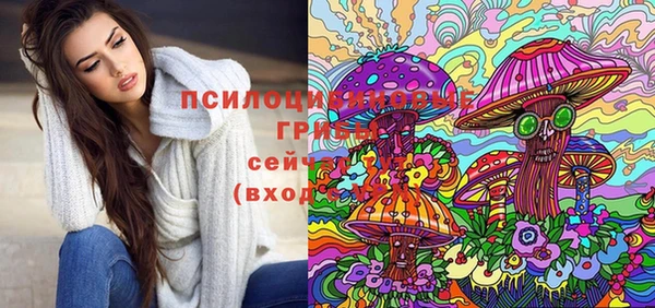 дурь Нея